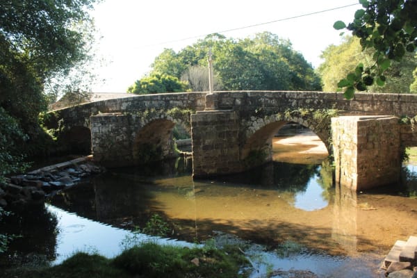 Foto 79 da atividade Galeria de Fotos