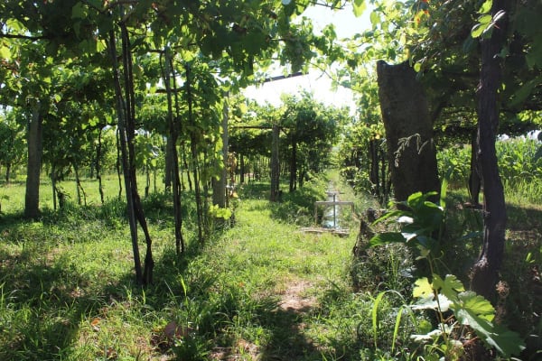 Foto 68 da atividade Galeria de Fotos