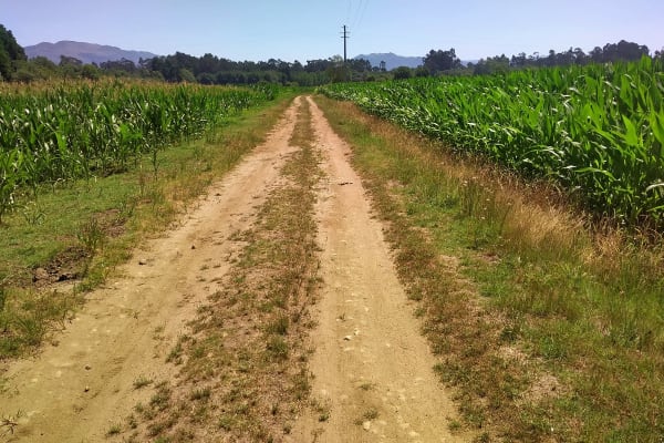 Foto 50 da atividade Galeria de Fotos