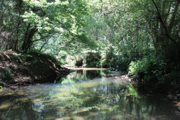 Foto 40 da atividade Galeria de Fotos