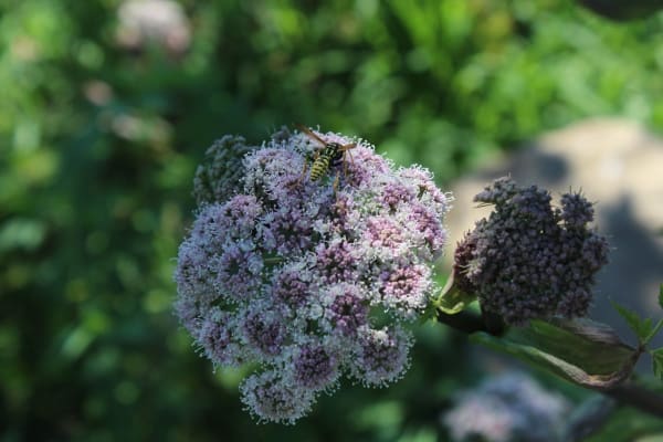 Foto 39 da atividade Galeria de Fotos