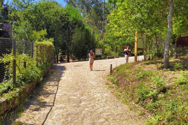 Foto 12 da atividade Galeria de Fotos