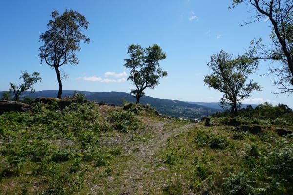 Foto 51 da atividade Galeria de Fotos