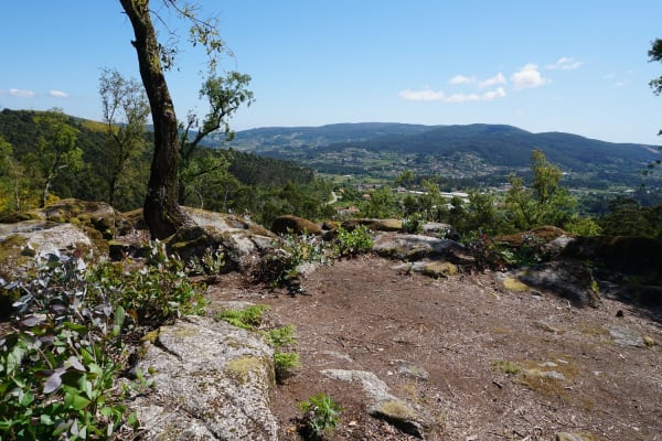 Foto 49 da atividade Galeria de Fotos