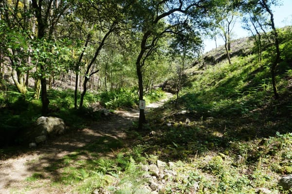 Foto 46 da atividade Galeria de Fotos