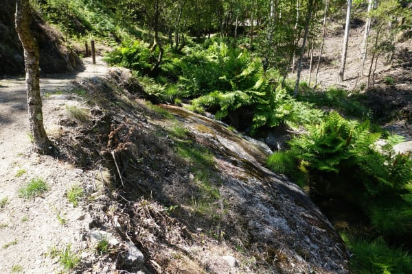 Foto 42 da atividade Galeria de Fotos