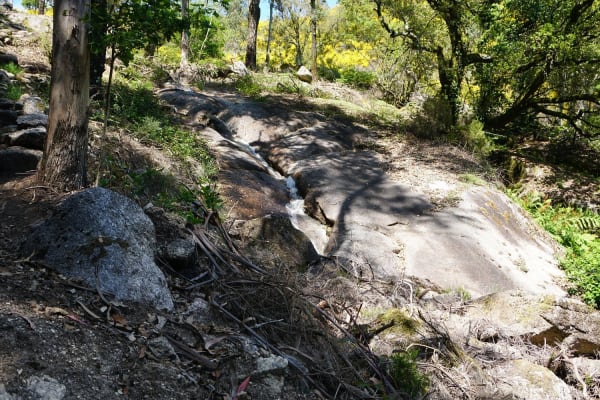 Foto 36 da atividade Galeria de Fotos