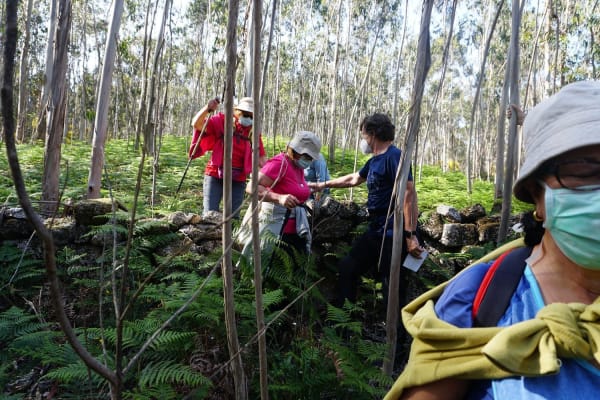 Foto 29 da atividade Galeria de Fotos