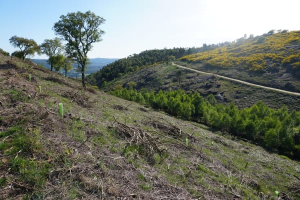 Foto 26 da atividade Galeria de Fotos