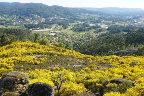 Foto 25 da atividade Galeria de Fotos