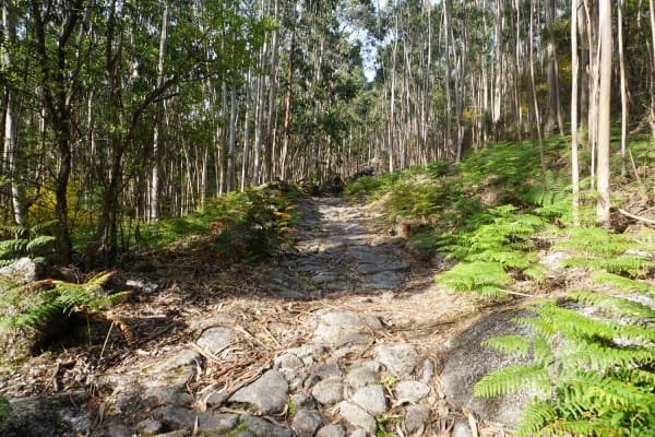 Foto 21 da atividade Galeria de Fotos