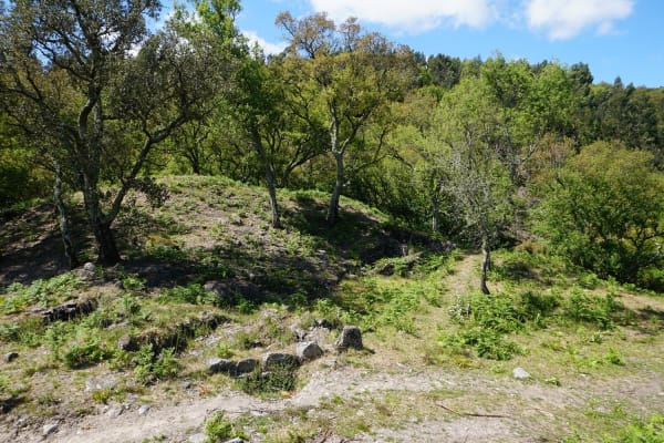 Foto 19 da atividade Galeria de Fotos