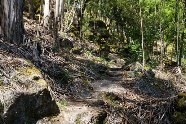 Foto 11 da atividade Galeria de Fotos