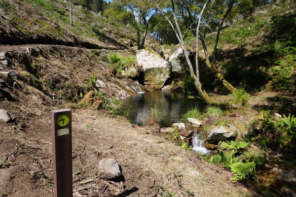 Foto 2 da atividade Galeria de Fotos