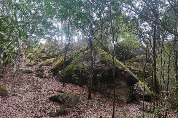 Foto 16 da atividade Galeria de Fotos