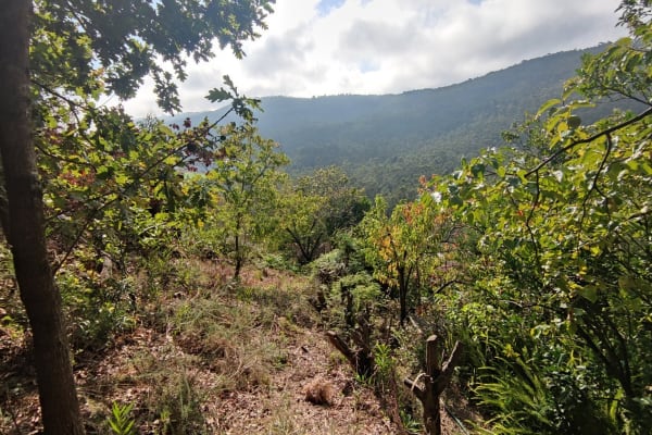 Foto 13 da atividade Galeria de Fotos