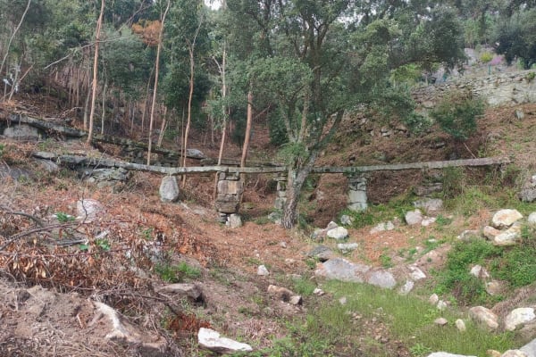 Foto 2 da atividade Galeria de Fotos