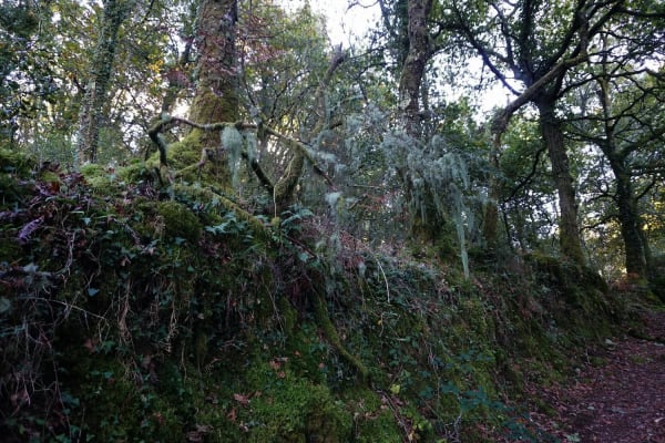 Foto 58 da atividade Galeria de Fotos