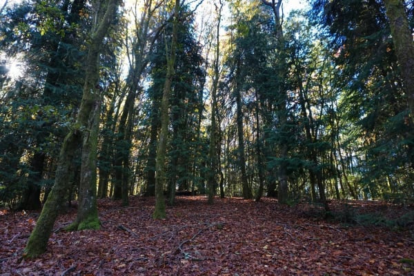 Foto 55 da atividade Galeria de Fotos