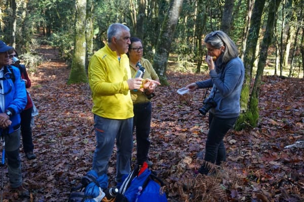 Foto 50 da atividade Galeria de Fotos