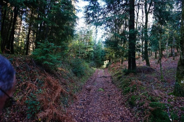 Foto 45 da atividade Galeria de Fotos