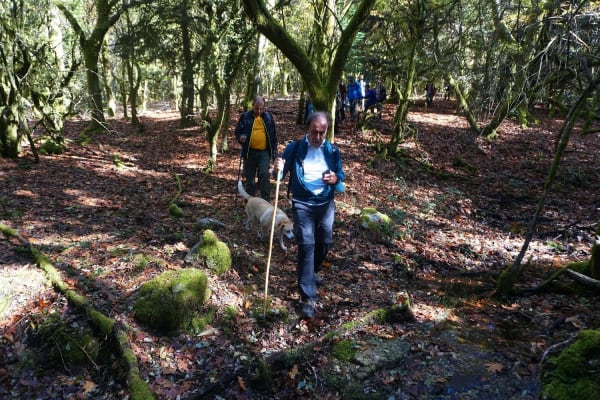 Foto 37 da atividade Galeria de Fotos