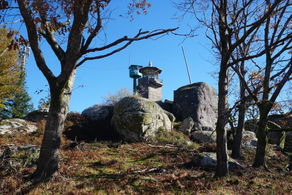 Foto 28 da atividade Galeria de Fotos