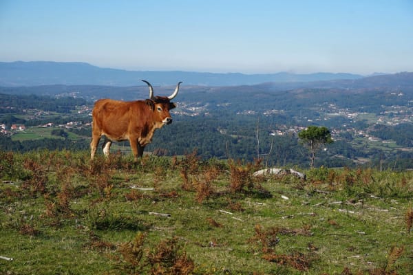 Foto 27 da atividade Galeria de Fotos