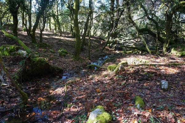 Foto 25 da atividade Galeria de Fotos