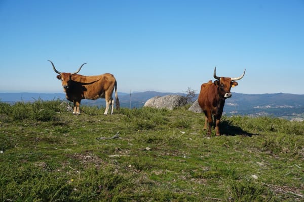 Foto 26 da atividade Galeria de Fotos