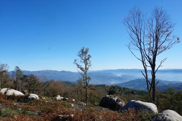 Foto 20 da atividade Galeria de Fotos