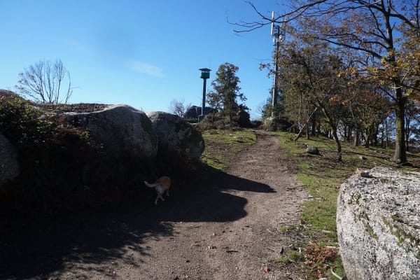 Foto 9 da atividade Galeria de Fotos