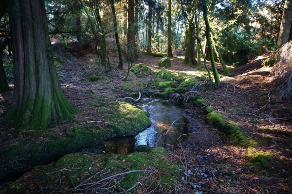 Foto 7 da atividade Galeria de Fotos