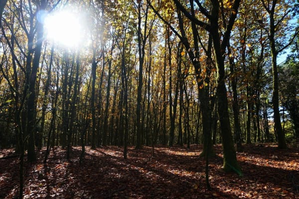 Foto 6 da atividade Galeria de Fotos