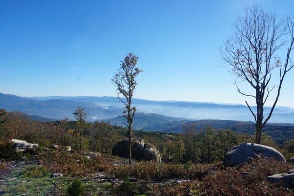 Foto 4 da atividade Galeria de Fotos