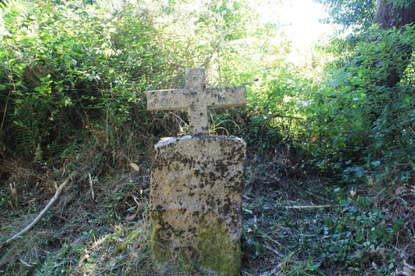 Foto 62 da atividade Galeria de Fotos