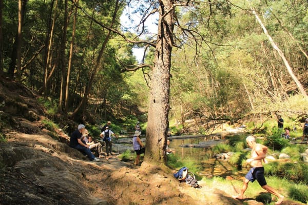 Foto 60 da atividade Galeria de Fotos