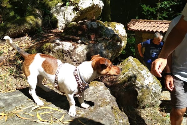 Foto 39 da atividade Galeria de Fotos