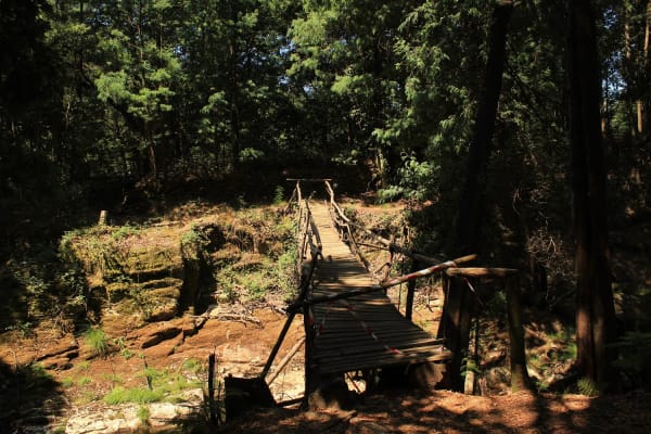 Foto 29 da atividade Galeria de Fotos