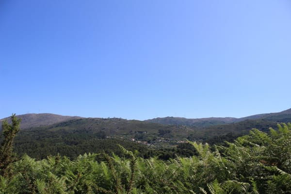 Foto 15 da atividade Galeria de Fotos