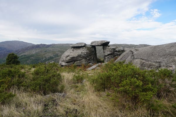 Foto 42 da atividade Galeria de Fotos