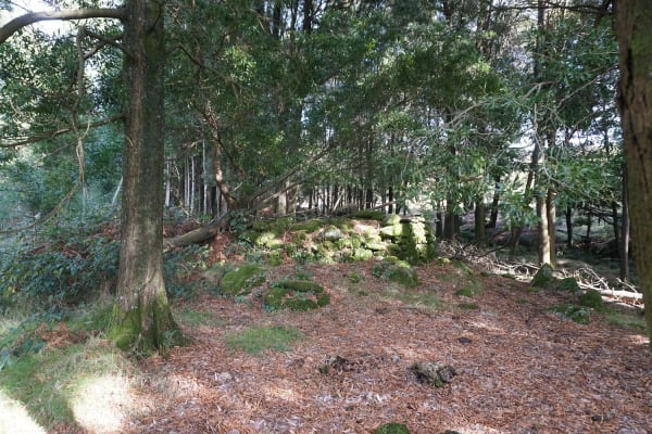 Foto 22 da atividade Galeria de Fotos