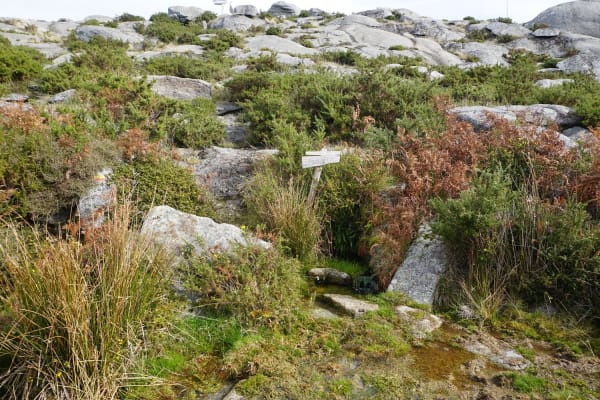 Foto 3 da atividade Galeria de Fotos