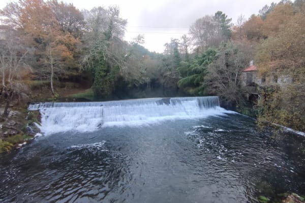 Foto 68 da atividade Galeria de Fotos