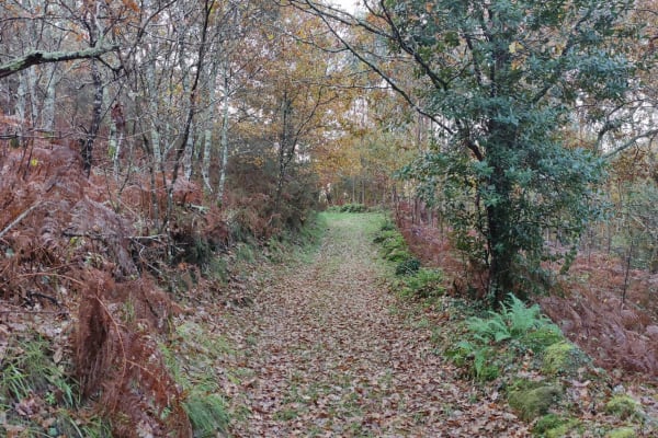 Foto 60 da atividade Galeria de Fotos