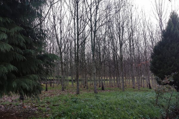 Foto 53 da atividade Galeria de Fotos