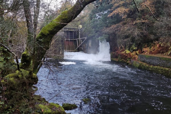 Foto 36 da atividade Galeria de Fotos