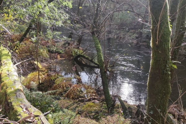 Foto 34 da atividade Galeria de Fotos