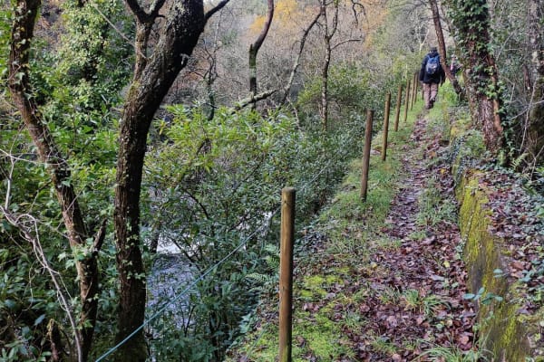 Foto 32 da atividade Galeria de Fotos