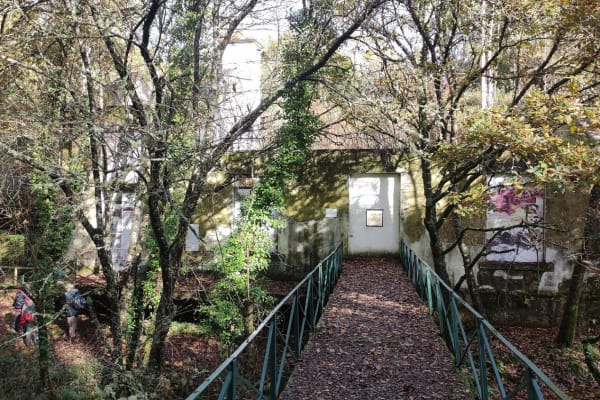 Foto 24 da atividade Galeria de Fotos